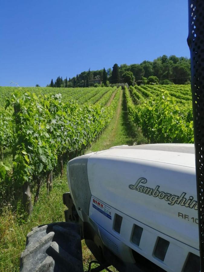 Antico Borgo Di Sugame Villa Greve in Chianti Exterior foto