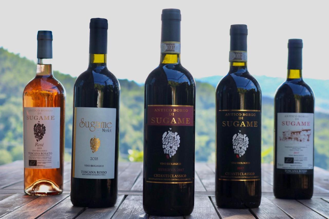 Antico Borgo Di Sugame Villa Greve in Chianti Exterior foto