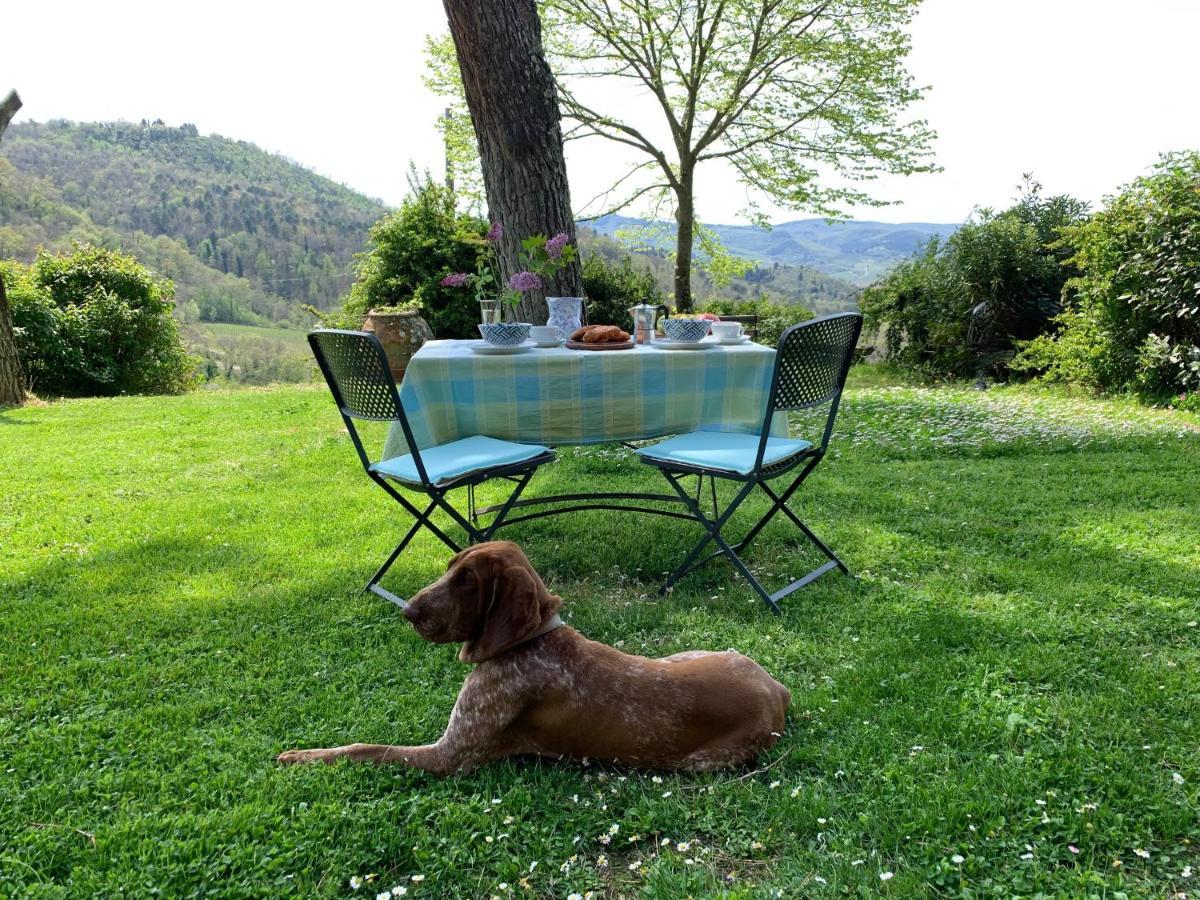 Antico Borgo Di Sugame Villa Greve in Chianti Exterior foto